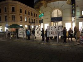 Demo Linz